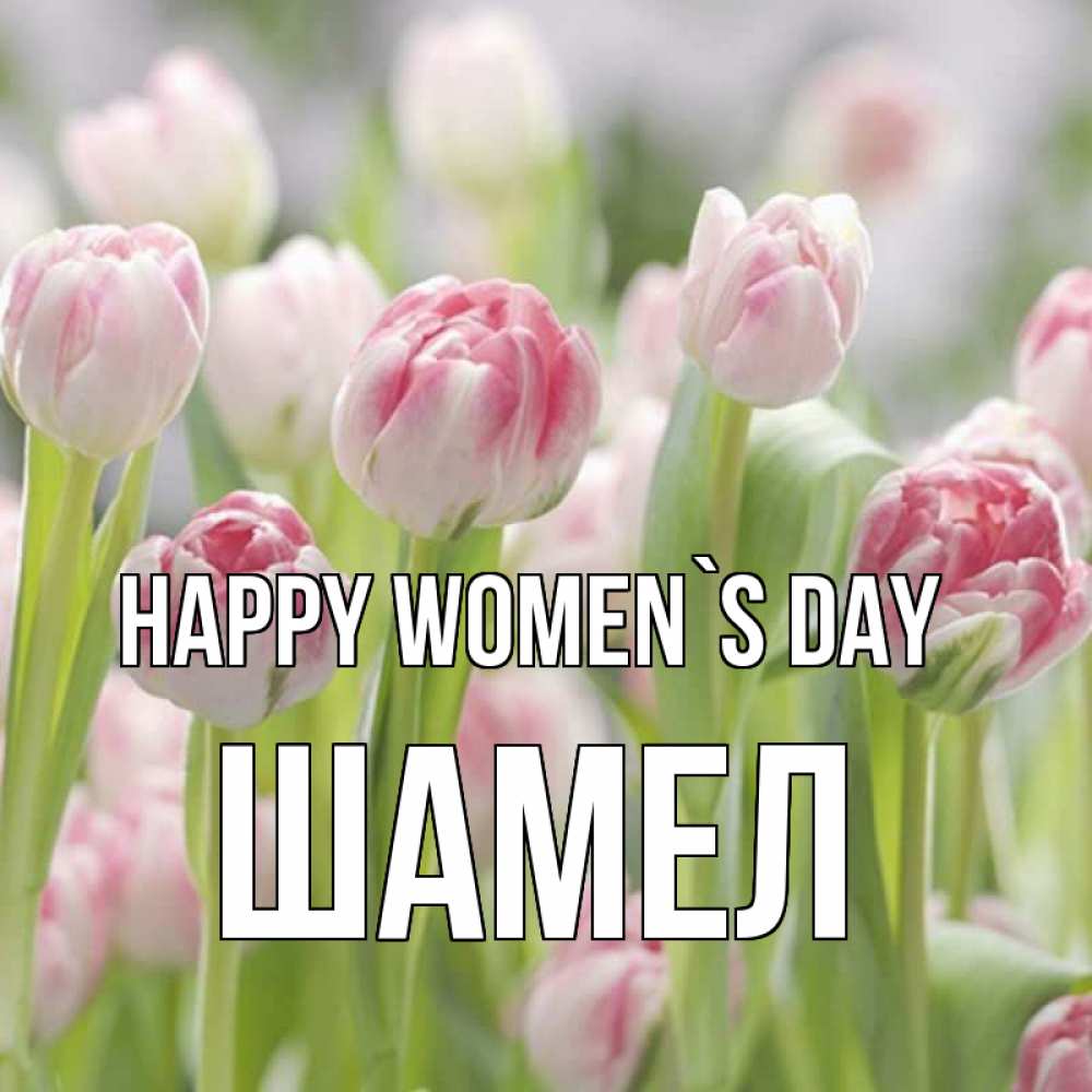 Greetings card с именем, ШАМЕЛ happy women`s day цветы Greetings with text for free download 